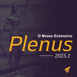 PLENUS 2025.1