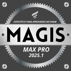 MAGIS MAX PRO - 2025.1